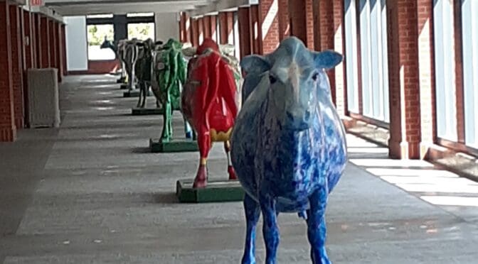 Udderly Art Calgary Cows